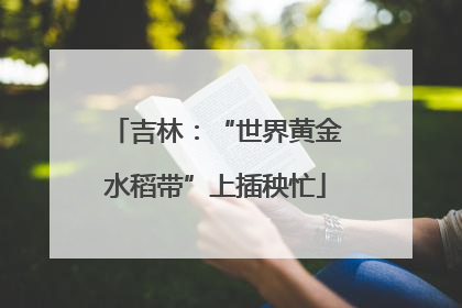 吉林：“世界黄金水稻带”上插秧忙